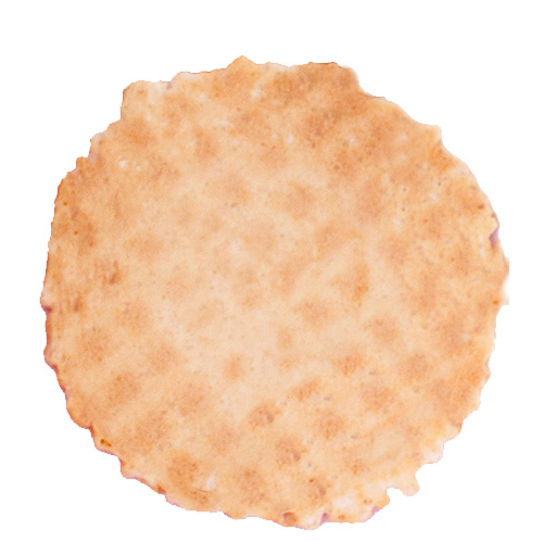 Large Waffle Disc